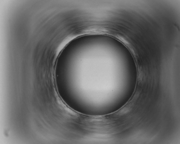 X0000100881486200806271125