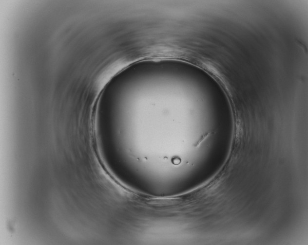 X0000100881487200806271125