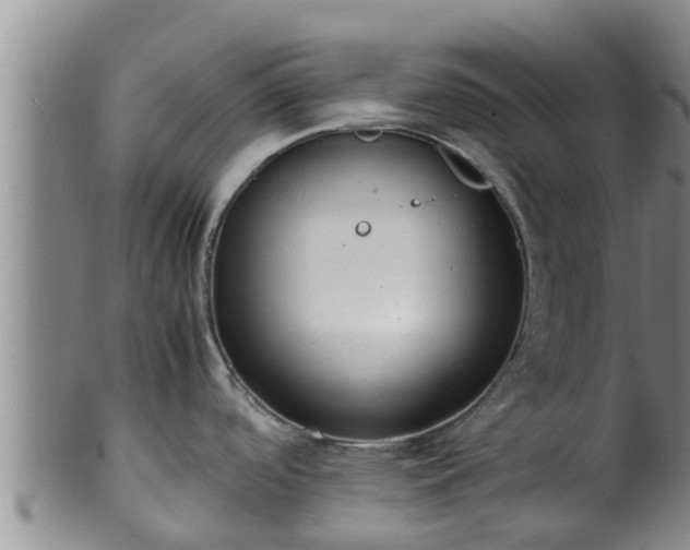 X0000100881488200806271125