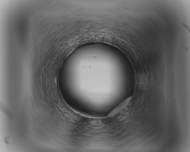 X0000100881489200806271124