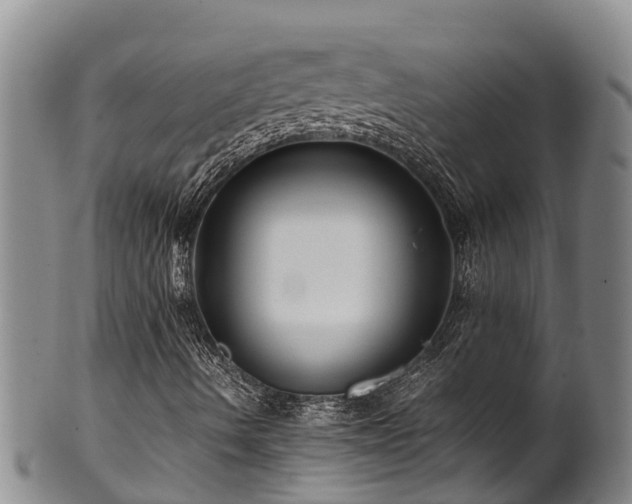 X0000100881490200806271124