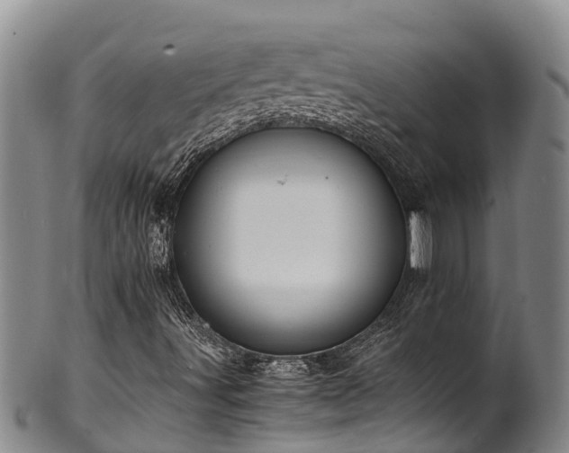 X0000100881491200806271124