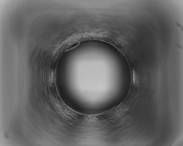 X0000100881492200806271124