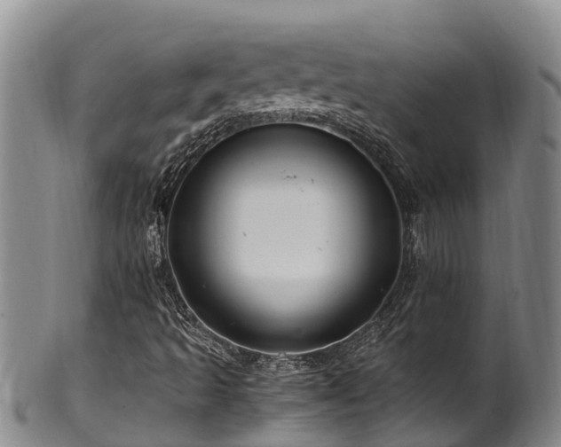 X0000100881493200806271124