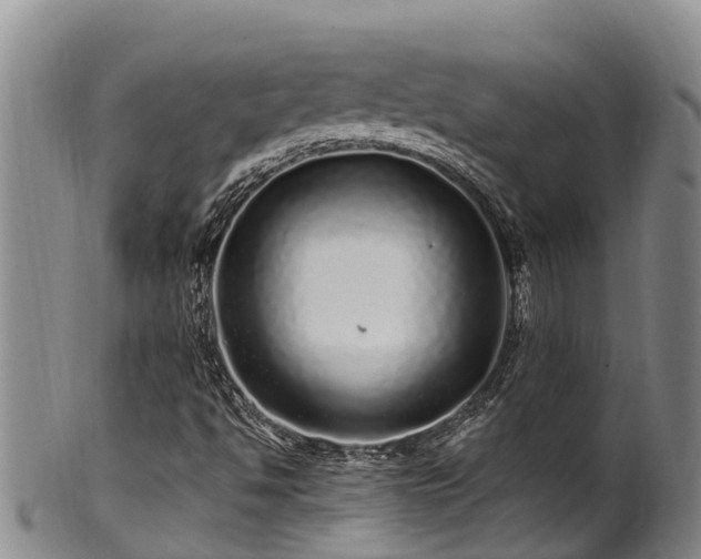 X0000100881494200806271124