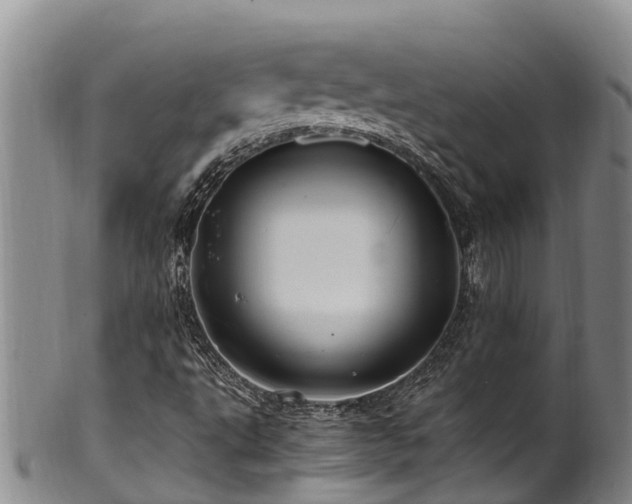 X0000100881495200806271124