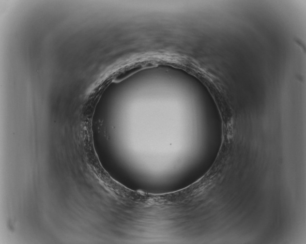 X0000100881496200806271124