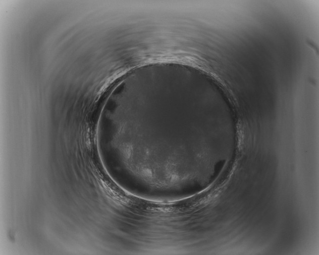 X0000100881497200806271124