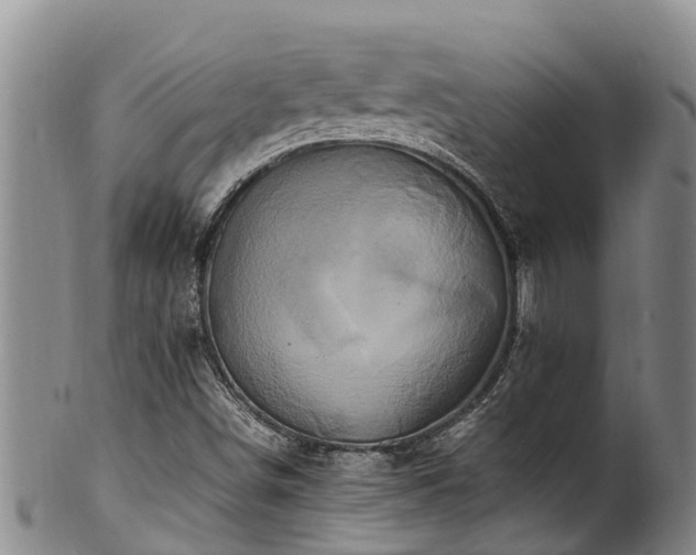 X0000100881498200806271124