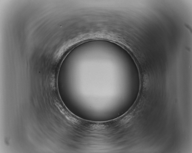 X0000100881499200806271124