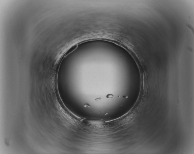 X0000100881500200806271124