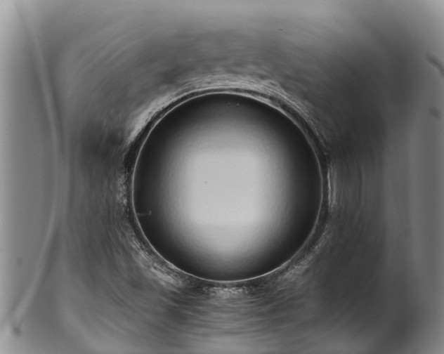 X0000100881501200806271124