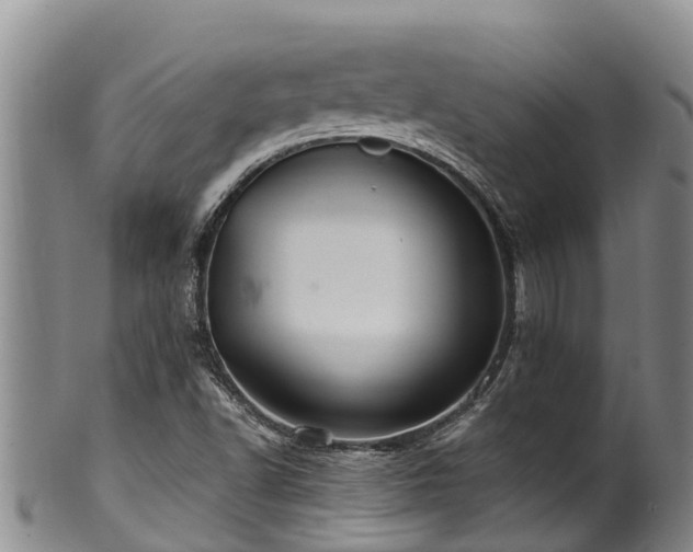 X0000100881502200806271124