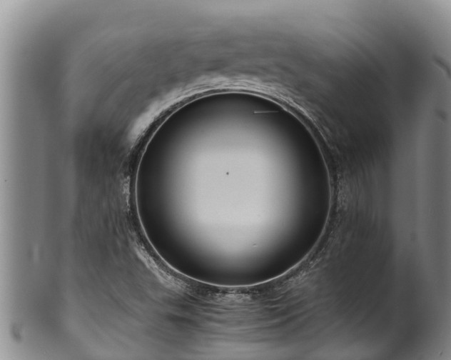 X0000100881503200806271124