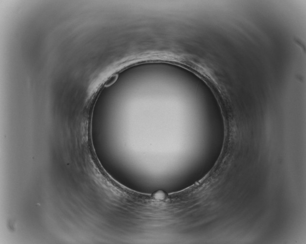 X0000100881504200806271124