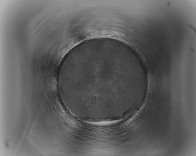 X0000100881505200806271124