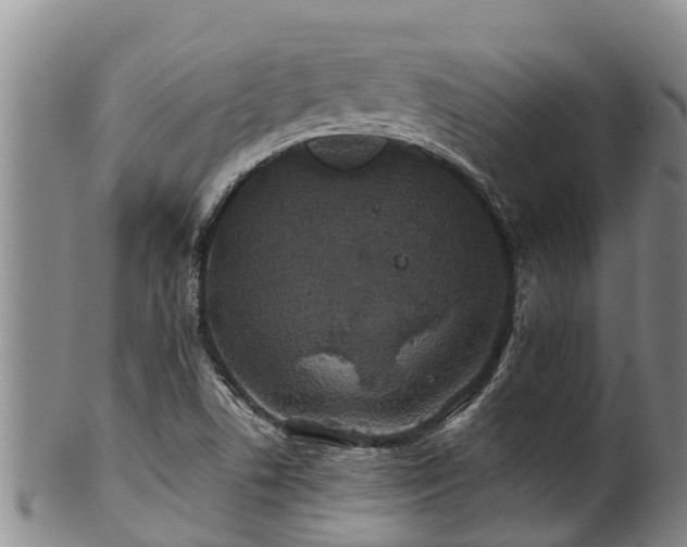 X0000100881506200806271124