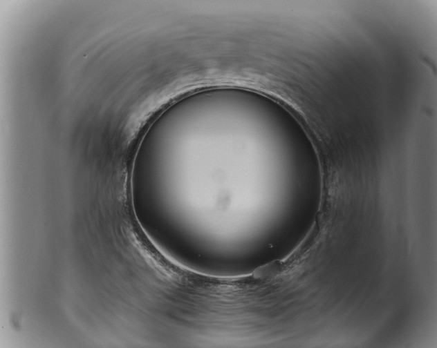 X0000100881507200806271124