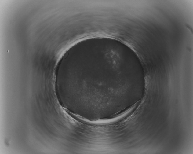 X0000100881508200806271124