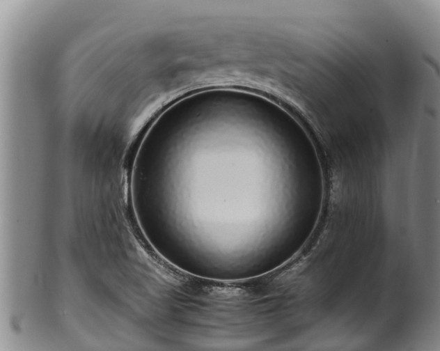 X0000100881509200806271124