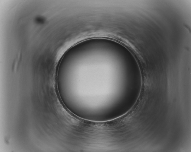 X0000100881512200806271125