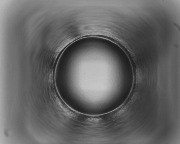 X0000100881513200806271125