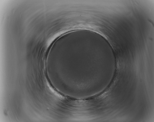 X0000100881515200806271125