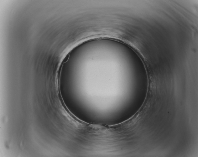 X0000100881516200806271125