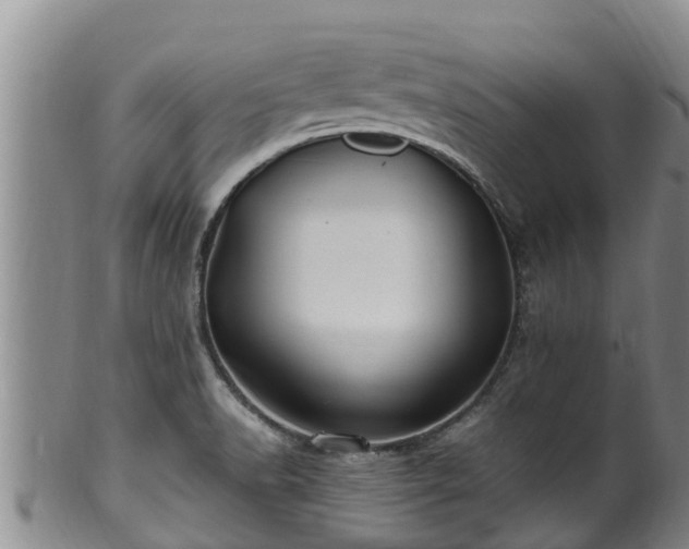 X0000100881518200806271125