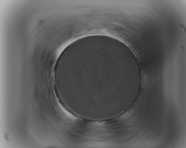 X0000100881519200806271125