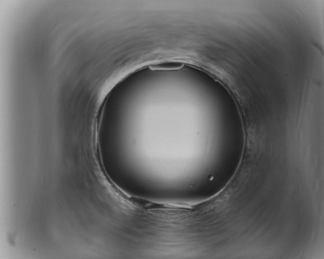 X0000100881520200806271125