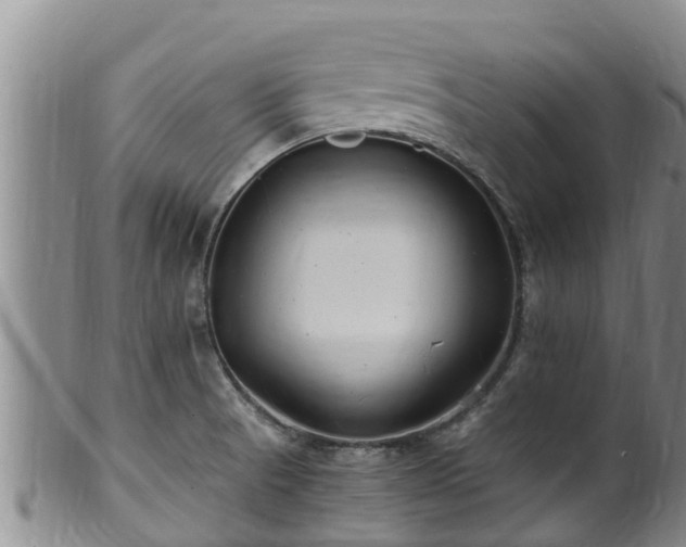 X0000100881521200806271125