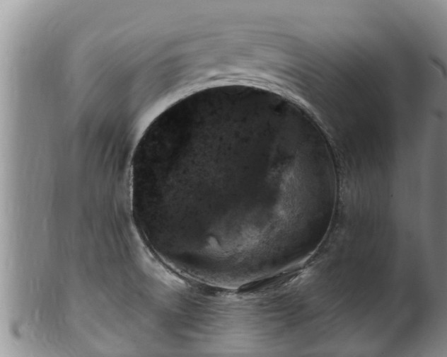 X0000100881522200806271125