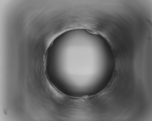 X0000100881524200806271125