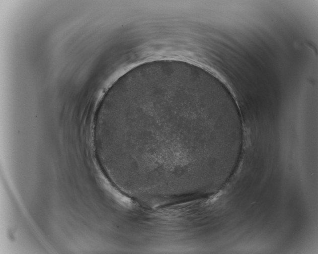 X0000100881525200806271125