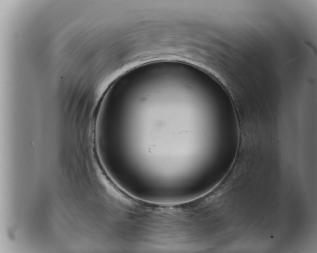 X0000100881526200806271125