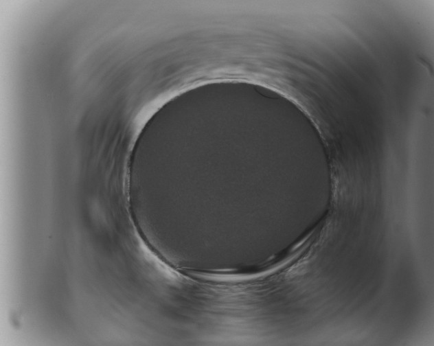 X0000100881527200806271125