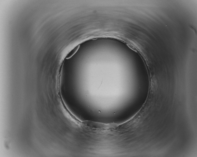 X0000100881528200806271125