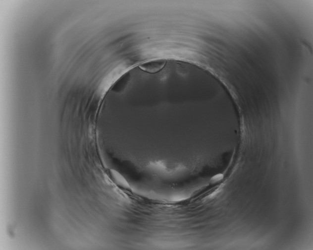 X0000100881529200806271125