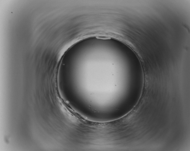 X0000100881530200806271125