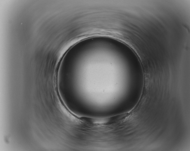 X0000100881531200806271125