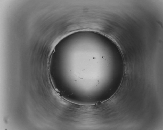 X0000100881532200806271125