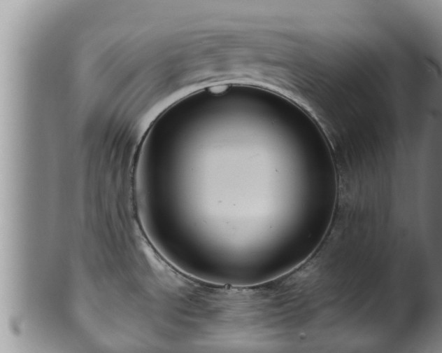 X0000100881534200806271125