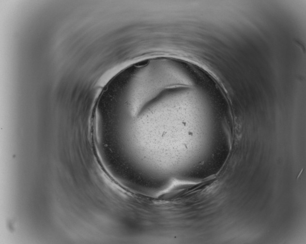 X0000100881535200806271125