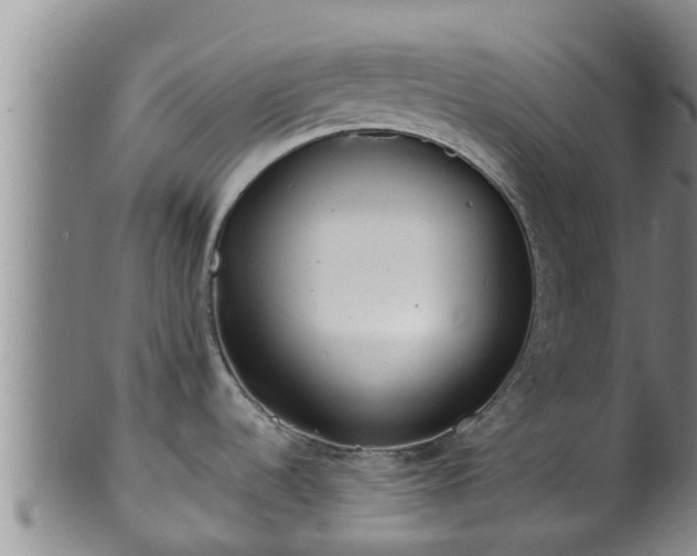 X0000100881536200806271125