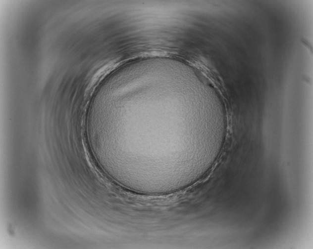 X0000100880001200807071138