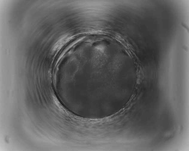 X0000100880002200807071138