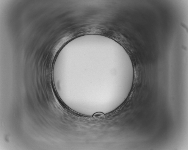 X0000100880003200807071138