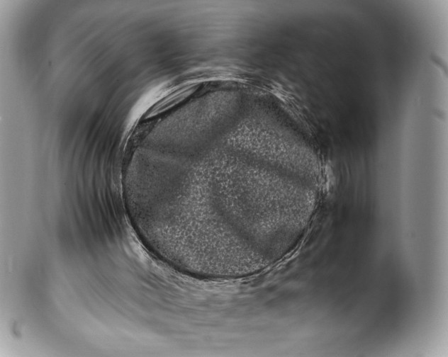 X0000100880004200807071137