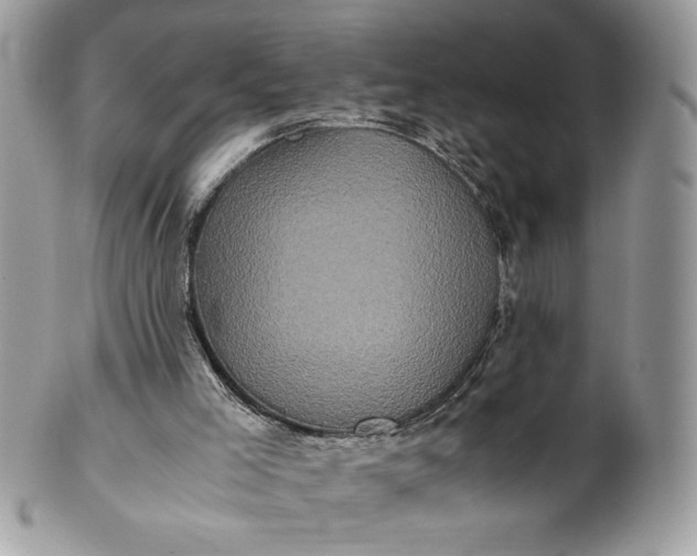 X0000100880005200807071137